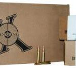 Ten Ring 223 Rem Ammunition 55 Grain Full Metal Jacket 1000 Rounds - Defense Ammunition Center