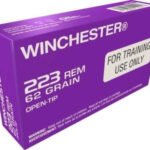 Winchester 223 Remington Ammunition Q3340 62 Grain Open Tip Purple Tinted Brass CASE 1,000 rounds - Defense Ammunition Center